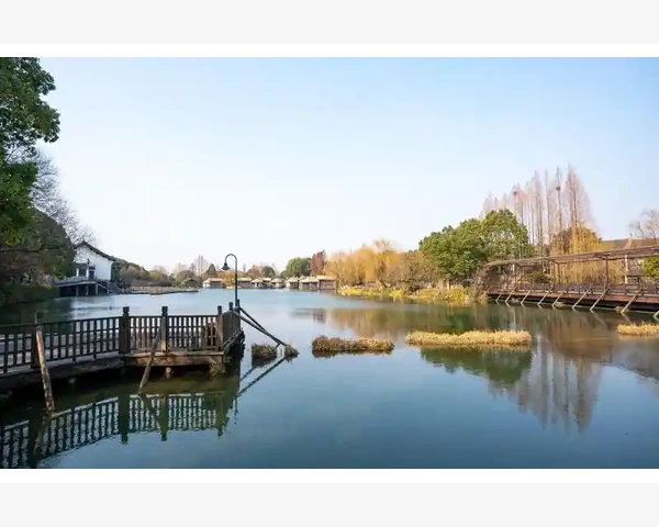 现代快节奏生活中的脾胃调养：食疗方